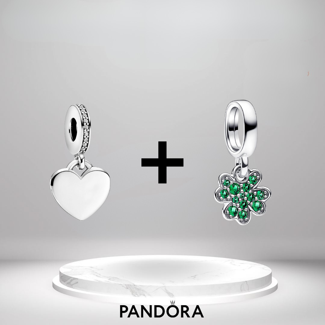 Bracciale Pandora Moments (+2 Charm GRATIS)